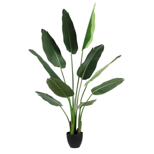 FAUX BANANA 63" POTTED LEAVES